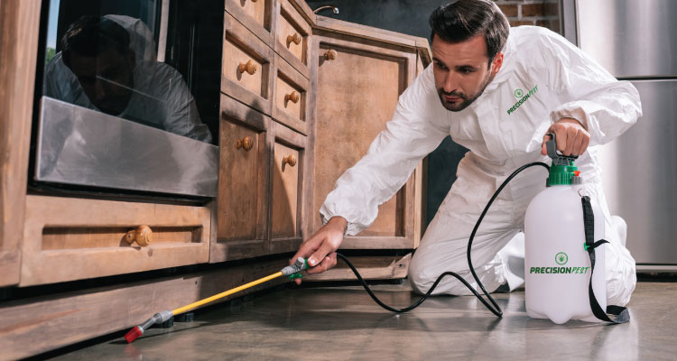 San Tan Valley Pest Control