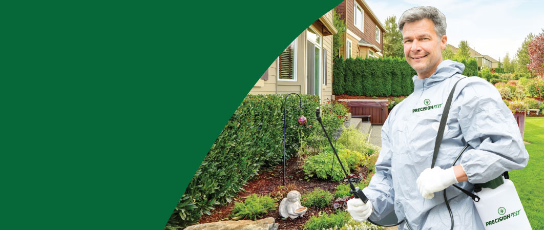 Pest Control Company in San Tan Valley