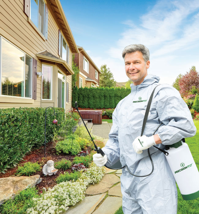 precision pest control services